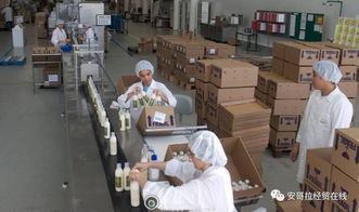 投資1000萬(wàn)美元的化妝品加工廠(chǎng)在安開(kāi)業(yè)，引領(lǐng)本土美妝產(chǎn)業(yè)新格局