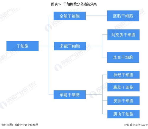 預(yù)見2022 中國干細胞醫(yī)療產(chǎn)業(yè)全景圖譜——產(chǎn)業(yè)鏈、競爭格局與前景展望
